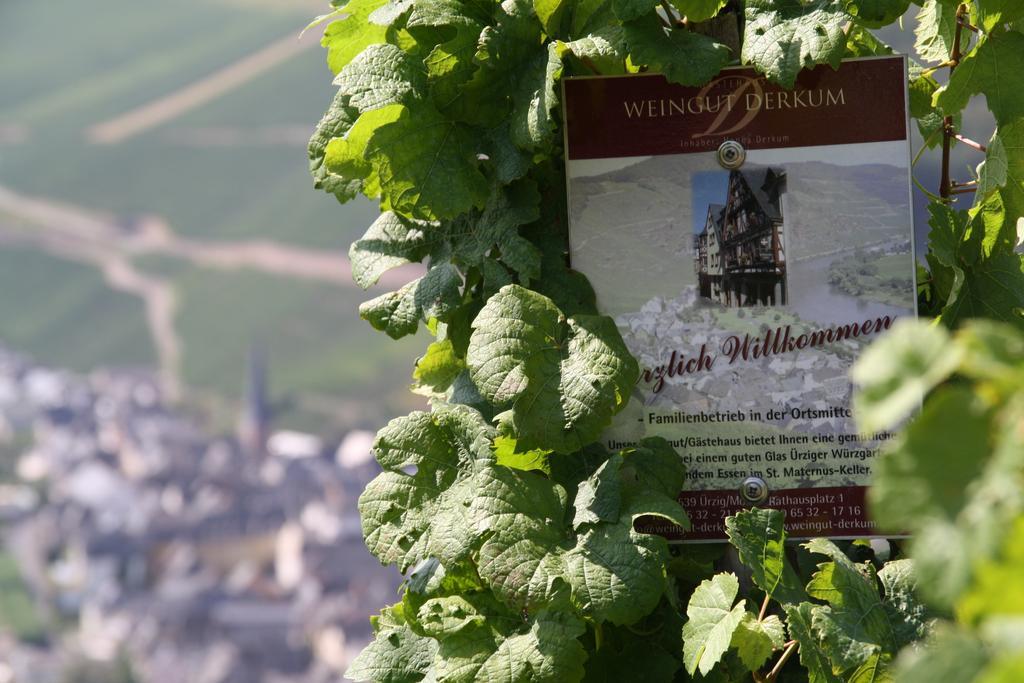 Weingut Gaestehaus Derkum Uerzig Exterior photo